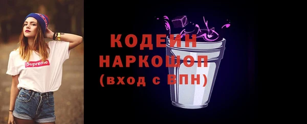 стаф Няндома