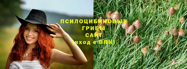 стафф Нягань