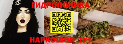 дмт Обь