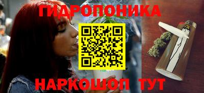 прущий лед Будённовск