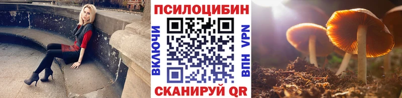 Псилоцибиновые грибы Psilocybine cubensis  Купить закладки  Саранск 