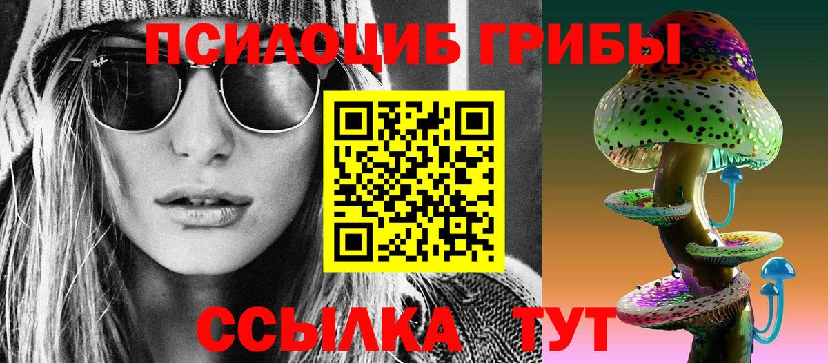 Галлюциногенные грибы Psilocybine cubensis  Псилоцибиновые грибы прущие грибы  Саранск 