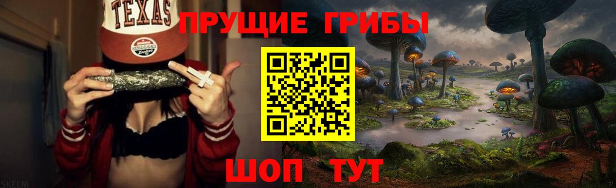 даркнет сайт  Псилоцибиновые грибы Psilocybine cubensis  Вход с VPN  Саранск 
