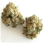 Шишки "White Widow"  (Белая вдова)  Гидропоника -  Бошка VHQ в Саранске