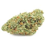 Шишки OG Kush  (Гидропоника, бошки) VHQ в Саранске
